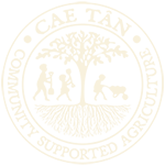 Cae Tan Logo